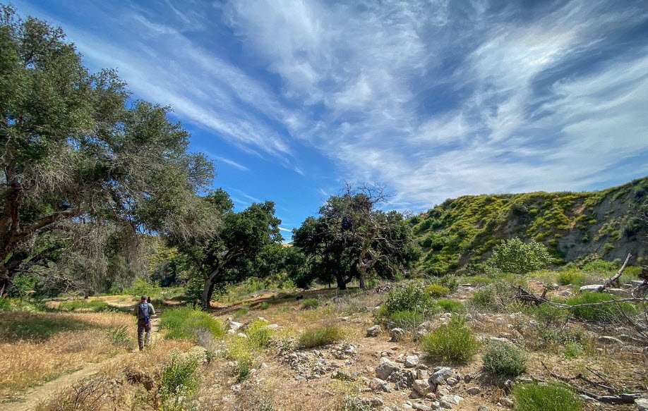 Placerita Canyon Nature Center, California, USA